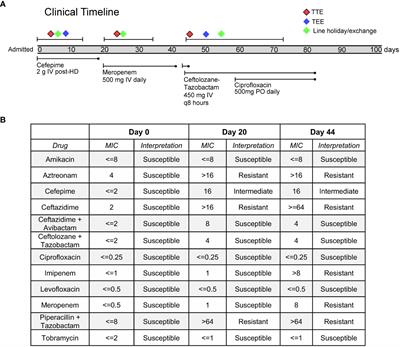 In host evolution of beta lactam resistance during active treatment for Pseudomonas aeruginosa bacteremia